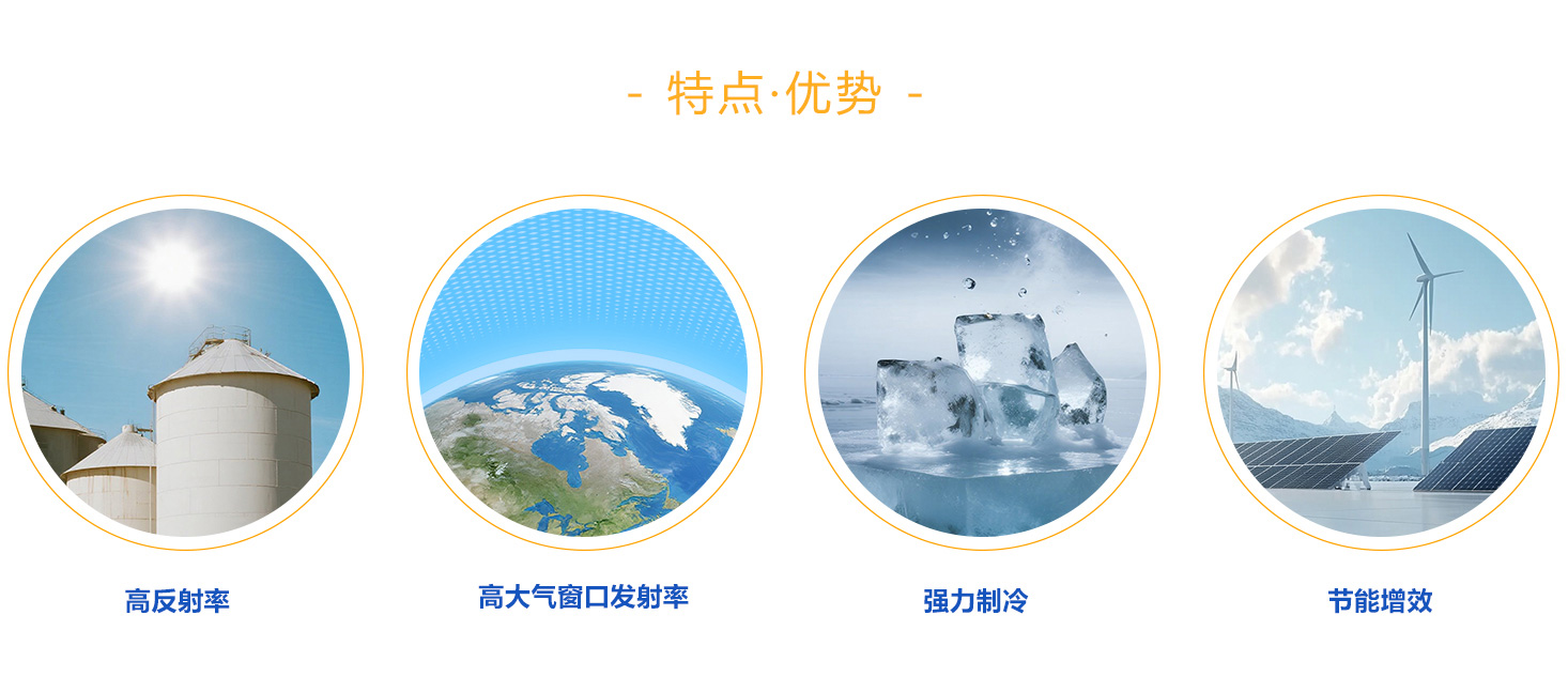 31416dac-2239-4bf3-8aa7-6eec9ccda47f_01.jpg